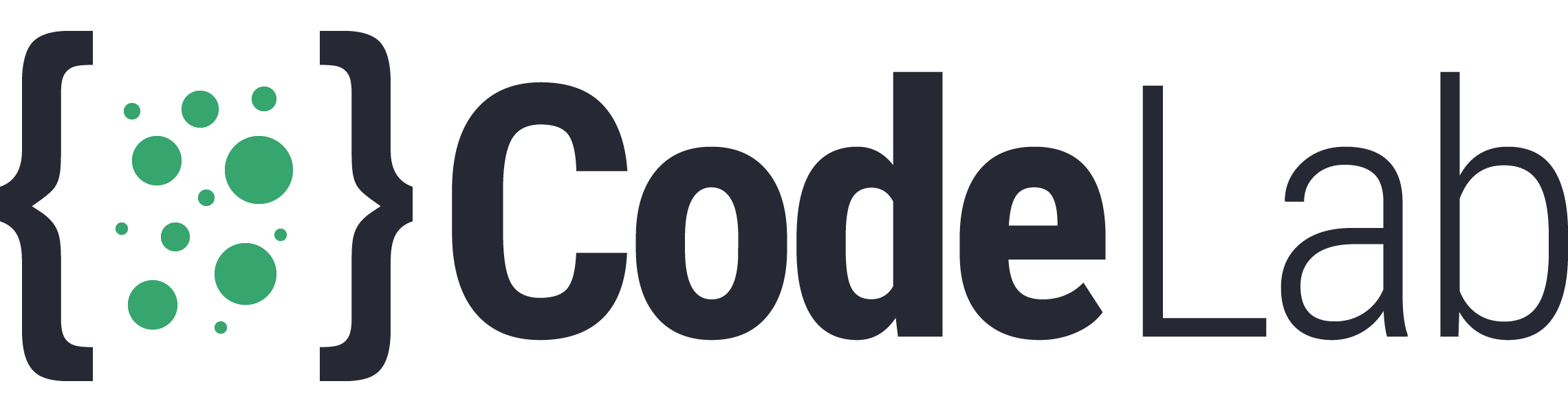 code lab.png